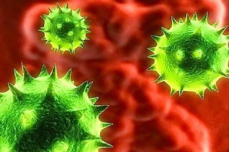 i virus più letali del mondo