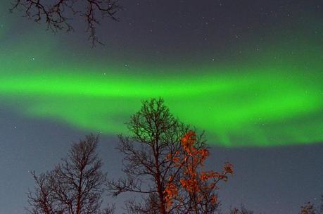 Aurora