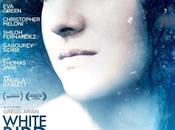 White bird blizzard