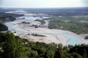 Il fiume Tagliamento (wwf.it)