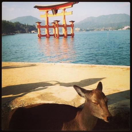 Miyajima, Giappone