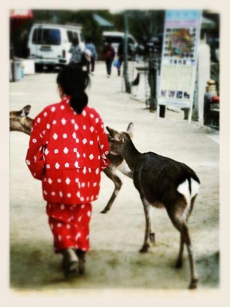 Miyajima, Giappone