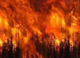 Sardegna: allerta incendi