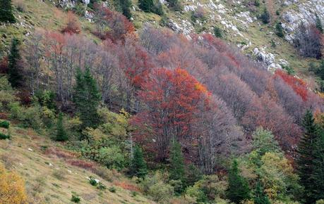 CRESTA OVEST DEL MONTE NERO: Sella Vrata