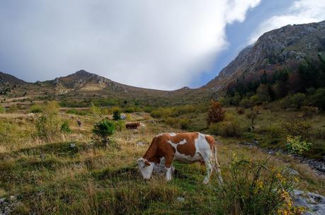 CRESTA OVEST DEL MONTE NERO: Sella Vrata