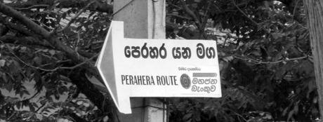 l'Esala Perahera, Kandy, Sri Lanka, viaggiandovaldi