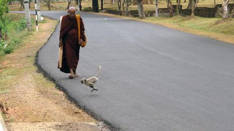 anuradhapura, sri lanka, viaggiandovaldi