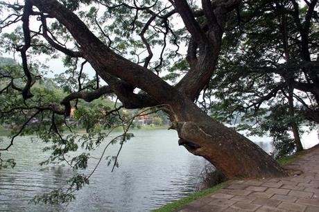 Kandy, Sri Lanka, viaggiandovaldi