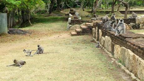 anuradhapura, sri lanka, viaggiandovaldi