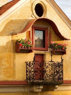 Dei bellissimi gerani su un balcone