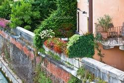 Un'altra bella immagine di fiori su un terrazzo