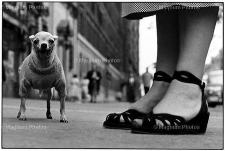 Elliot Erwitt USA. New York City. 1946.