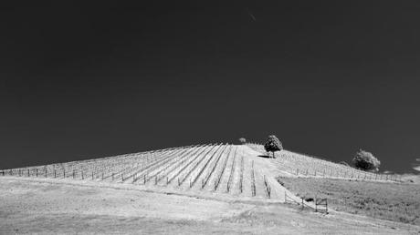 Collina, Fabrizio Audano