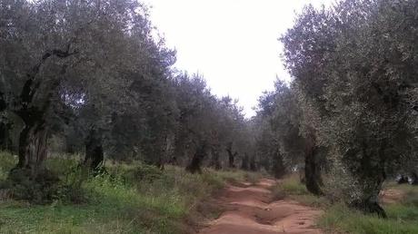 A Terracina, tra storia, leggenda e buon cibo