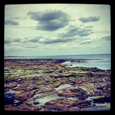 Farne Islands - Black Cat Souvenirs