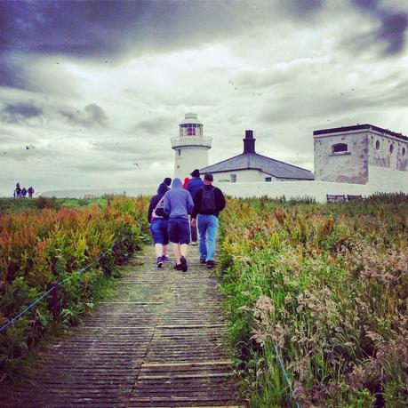 Farne Islands - Black Cat Souvenirs