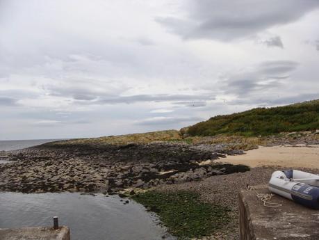 Farne Islands - Black Cat Souvenirs