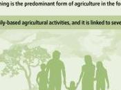 FAO: Nutrire modno preservare Pianeta. Grazie all’Agricoltura Familiare