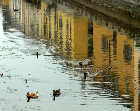 eppure sui Navigli c'è poesia