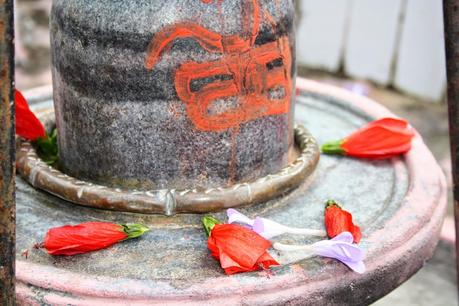 Rishikesh - A piedi al tempio di Nilkanth, dove Shiva e' diventato blu'