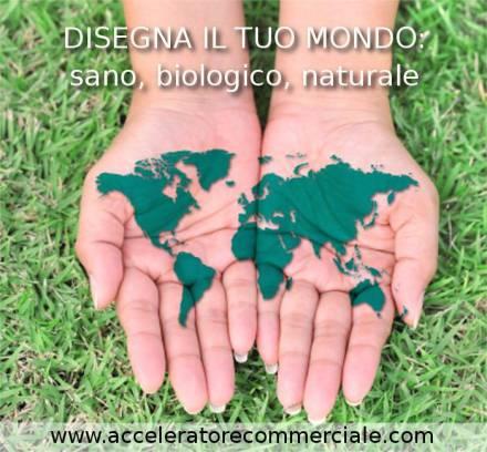 accelertore commerciale