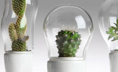 Le piante aliene di Matteo Cibic Funny-Creative-Terrariums_ilovegreen_2