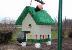 Casetta per uccelli insolita