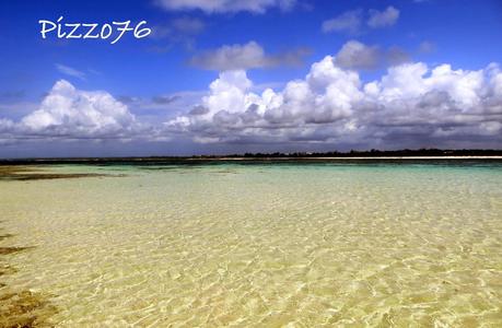 safari blu escursione da watamu kenya