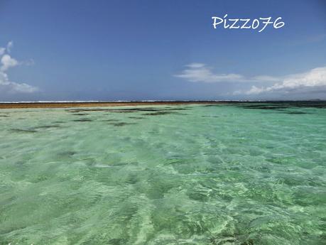 safari blu escursione da watamu kenya