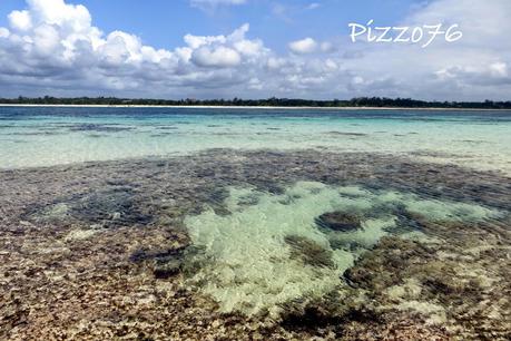 safari blu escursione da watamu kenya