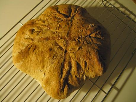 PANE CASARECCIO (INASPETTATO)