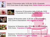 Corsi cake design Guanzate (Co): torte, biscotti, fiori pasta zucchero panettoni decorati