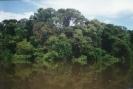 Brasile: nuova area protetta in Amazzonia