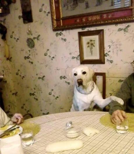 10177503_713649238705447_912652676178383359_n