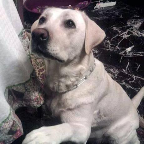 10356313_713649222038782_3873767336804303906_n