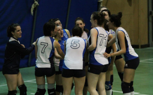 (luinovoley.it)