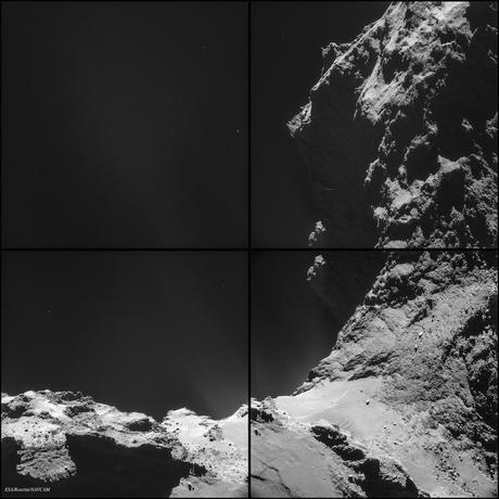Nuova immagine della cometa P 67