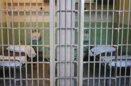 Pozzuoli fermato Antonio Di Roberto