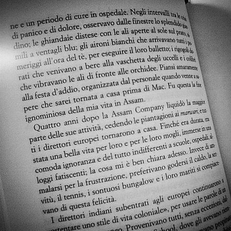 #inlettura #iltempodileggere #libri #books