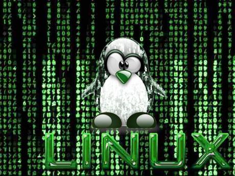 Linux, sistema operativo di facile usabilità, ma di difficile gestione