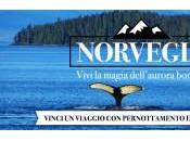 Edreams vinci Norvegia