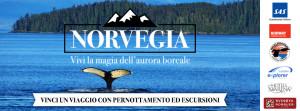 concorso-edreams