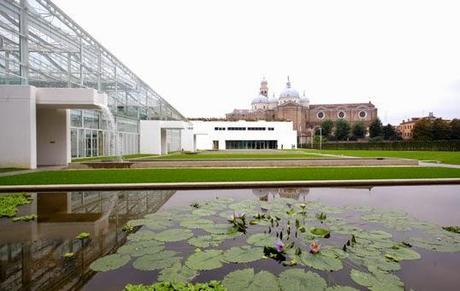 L'orto botanico più antico del mondo, diventa il più nuovo!