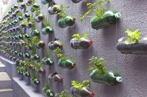 realizzare giardino verticale con bottiglie