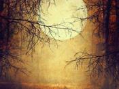 Alla scoperta Samhain della Wicca (intervista doppia)