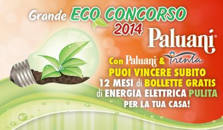 concorso paluani