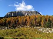 Monte Zermula: ferrata "Amici della Montagna"