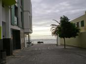 canarie"
