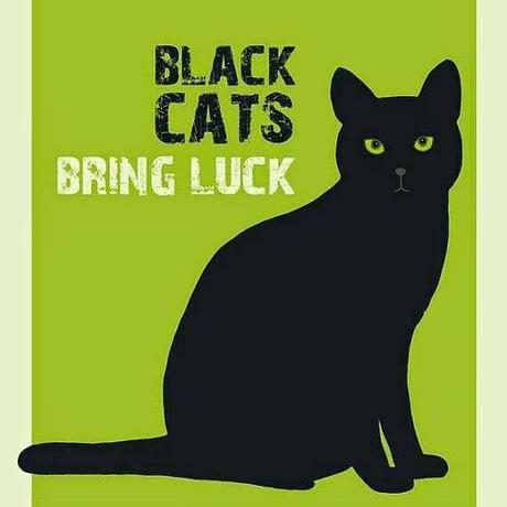 I gatti neri portano fortuna - Souvenirs of a Black Cat