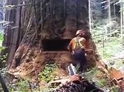 vero parassita mondo